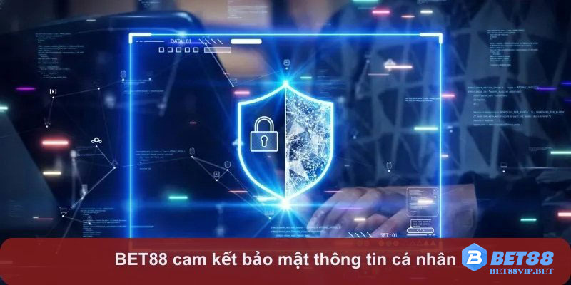 Thông tin cá nhân được sử dụng để nâng cao trải nghiệm