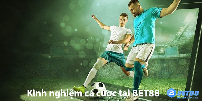 kinh nghiệm cá cược